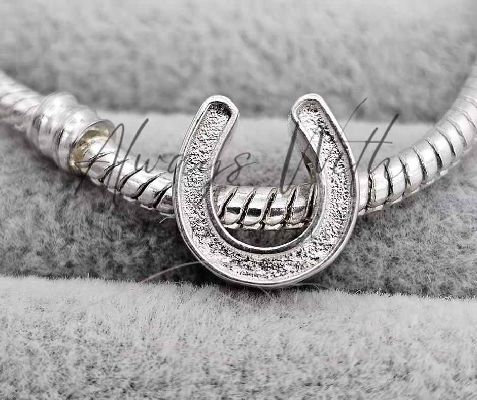 The "Horseshoe" Charm