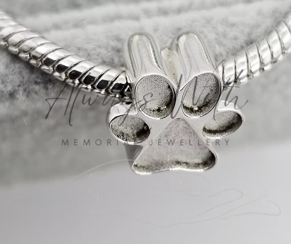 The "Paw" Charm